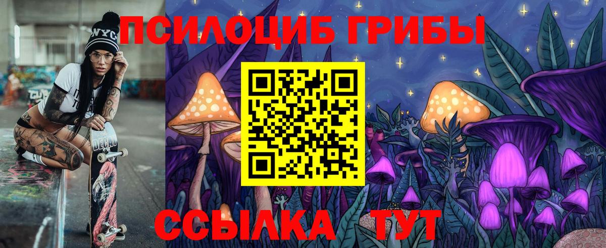Семилуки  Галлюциногенные грибы Psilocybe  Вход с VPN 