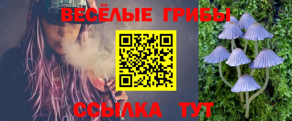 Псилоцибиновые грибы Psilocybe Семилуки